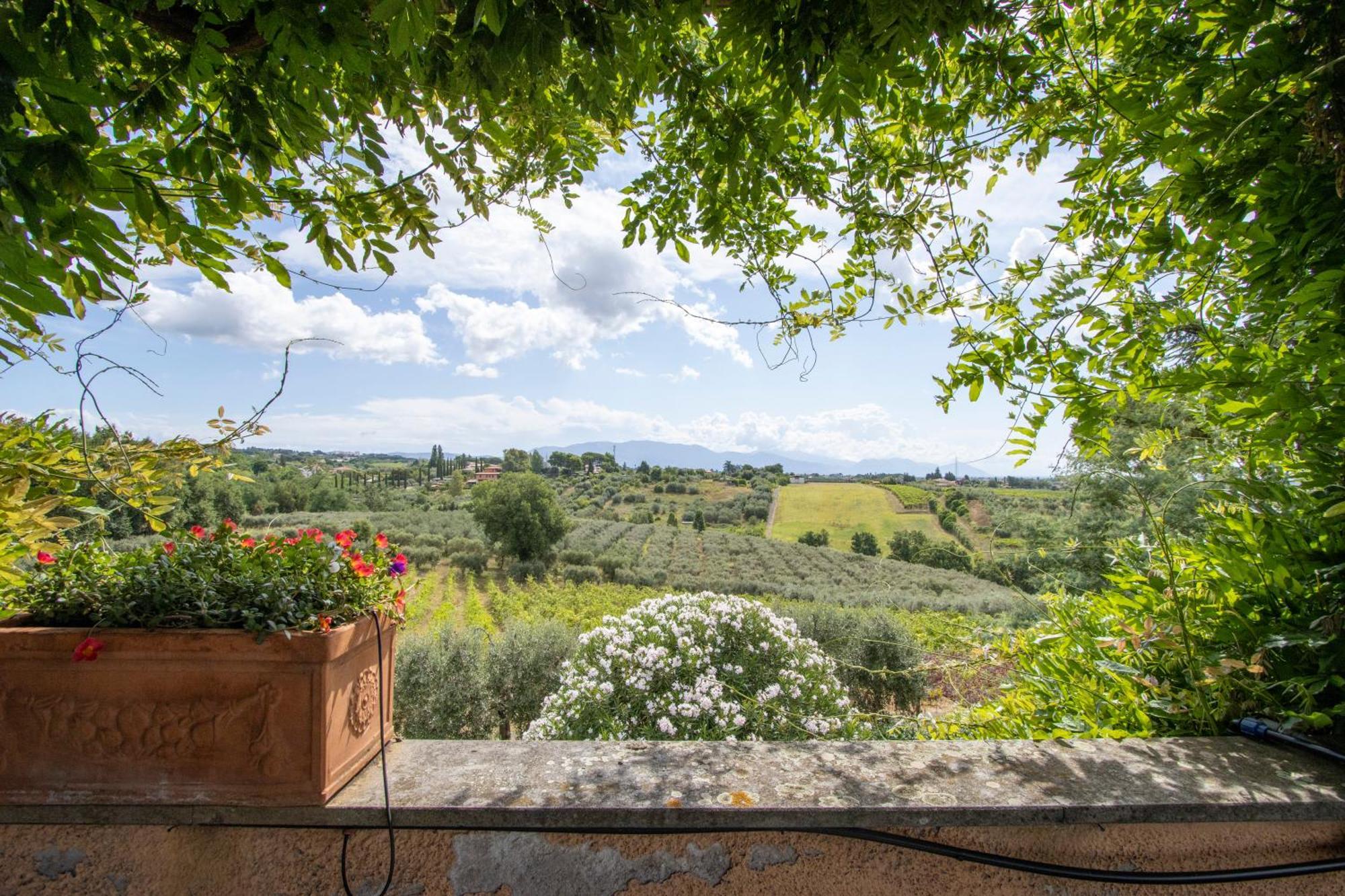 Vigna Luisa Resort - Near Rome Genzano di Roma Exterior foto